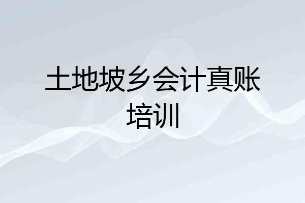 土地坡乡会计真账培训