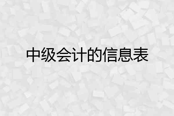 中级会计的信息表