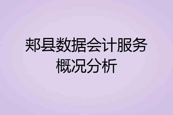 郏县数据会计服务概况分析