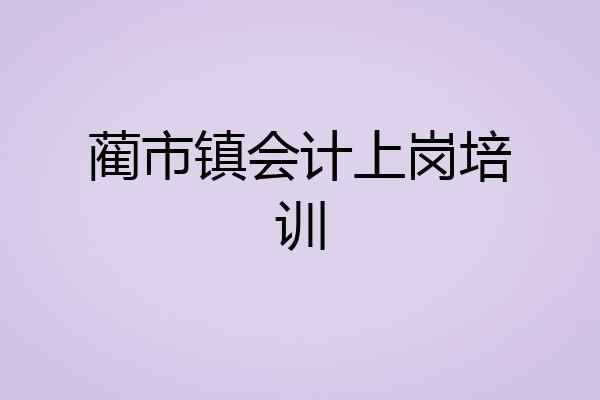 蔺市镇会计上岗培训