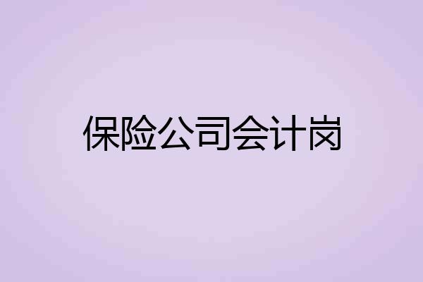 保险公司会计岗