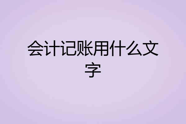 会计记账用什么文字