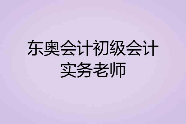 东奥会计初级会计实务老师