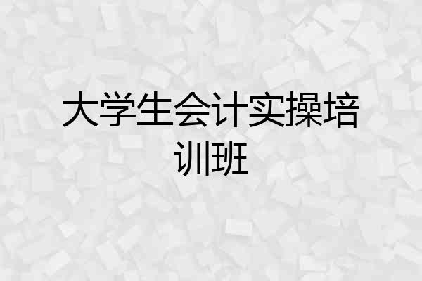 大学生会计实操培训班