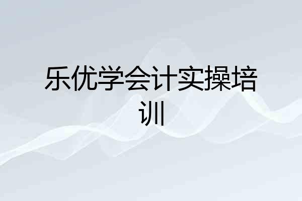 乐优学会计实操培训