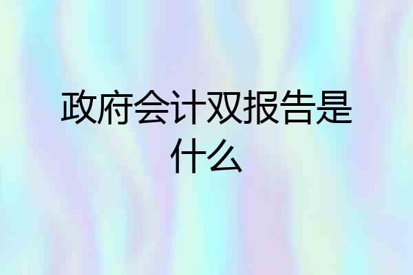 政府会计双报告是什么
