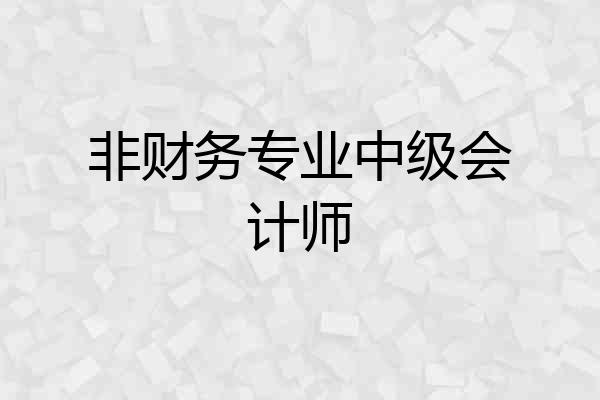 非财务专业中级会计师
