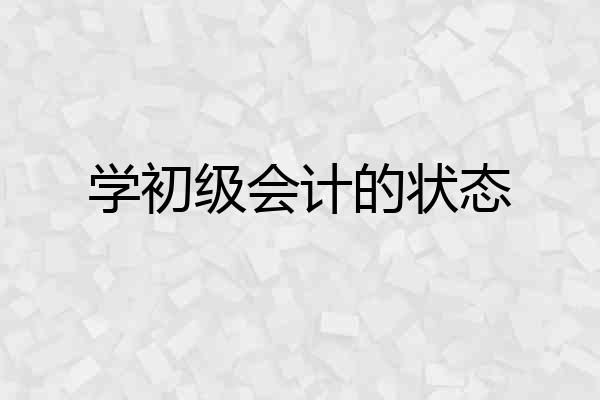 学初级会计的状态