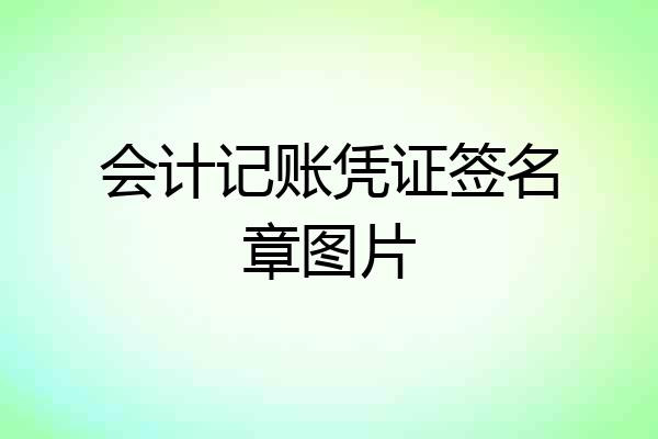 会计记账凭证签名章图片