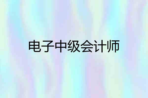 电子中级会计师