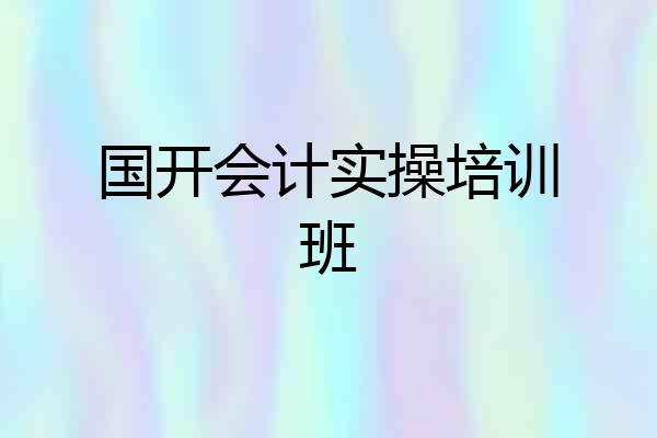 国开会计实操培训班