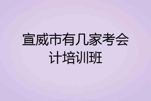 宣威市有几家考会计培训班