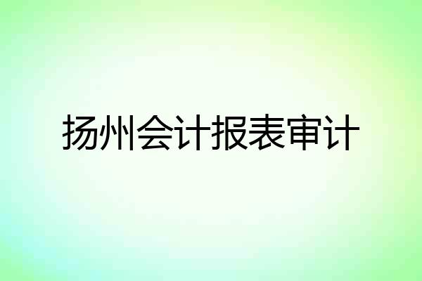扬州会计报表审计