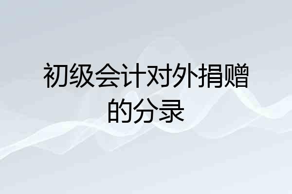 初级会计对外捐赠的分录