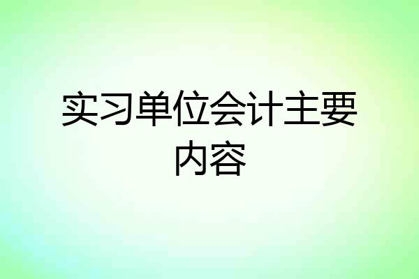 实习单位会计主要内容