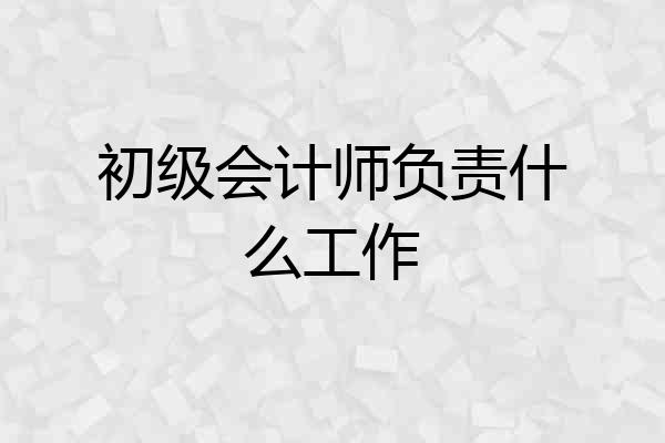 初级会计师负责什么工作