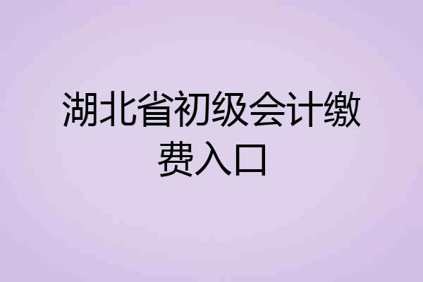 湖北省初级会计缴费入口