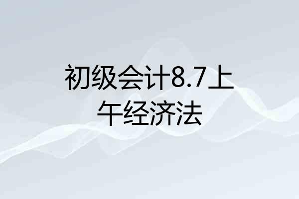 初级会计8.7上午经济法