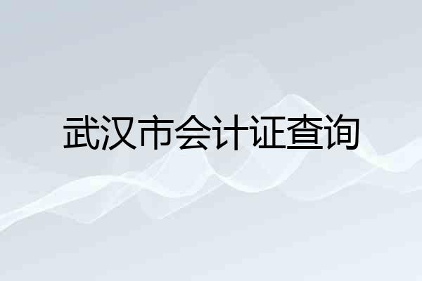 武汉市会计证查询