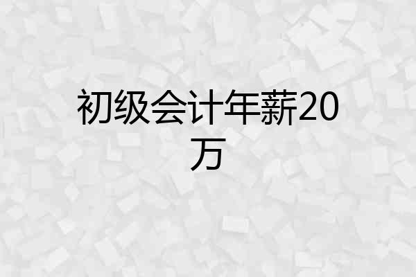 初级会计年薪20万