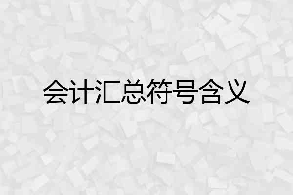 会计汇总符号含义