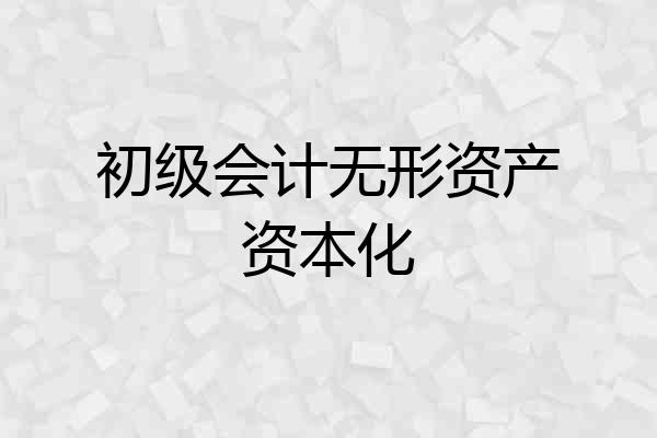 初级会计无形资产资本化