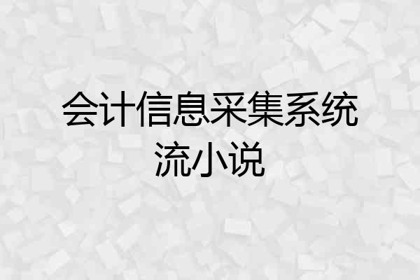 会计信息采集系统流小说
