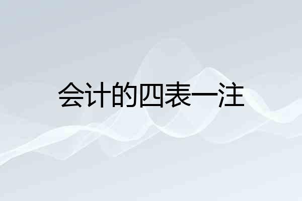 会计的四表一注