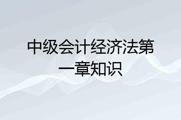中级会计经济法第一章知识