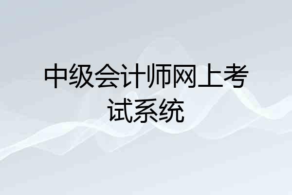 中级会计师网上考试系统