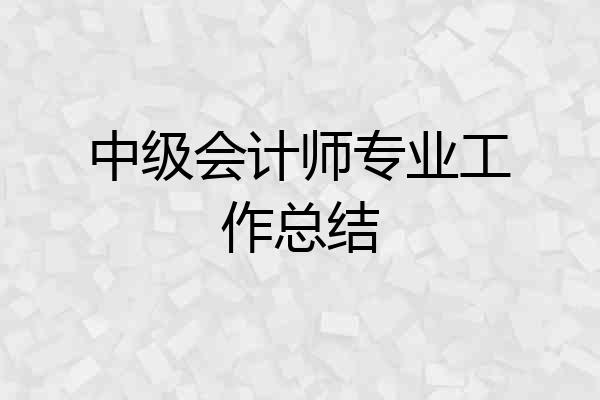 中级会计师专业工作总结
