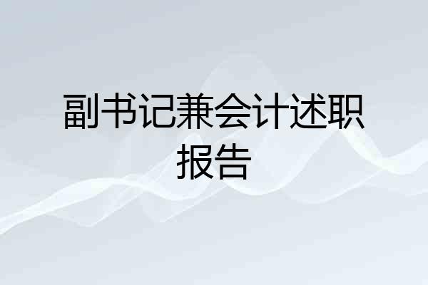副书记兼会计述职报告