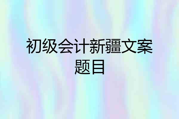 初级会计新疆文案题目