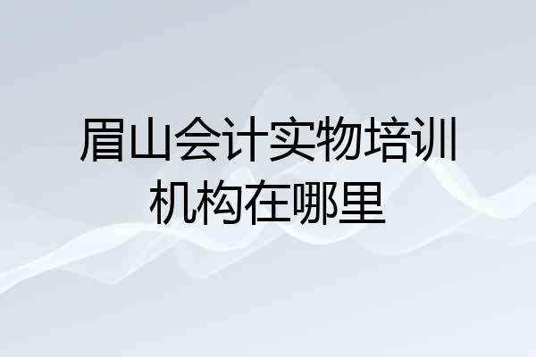 眉山会计实物培训机构在哪里