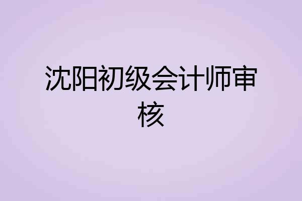 沈阳初级会计师审核