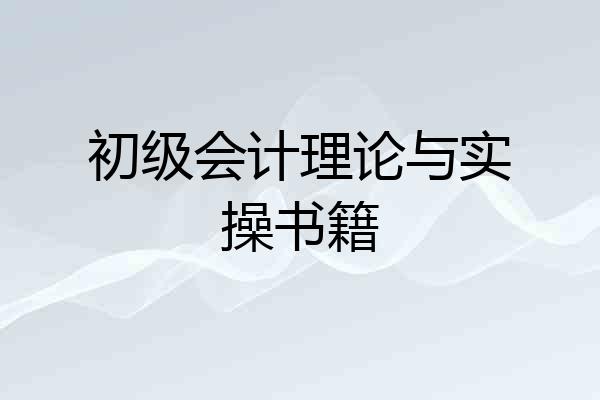 初级会计理论与实操书籍