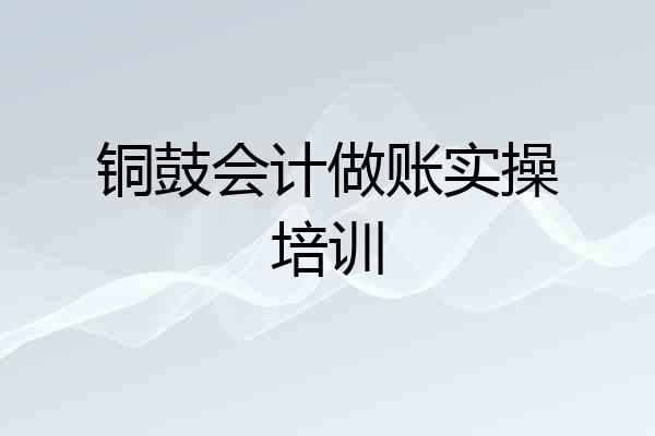 铜鼓会计做账实操培训