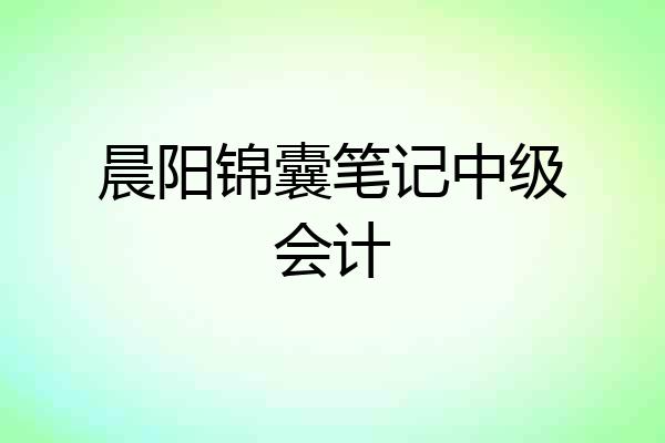 晨阳锦囊笔记中级会计
