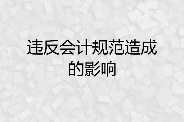 违反会计规范造成的影响