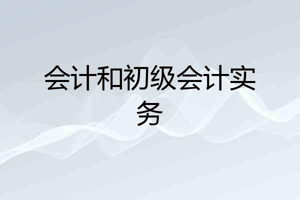 会计和初级会计实务