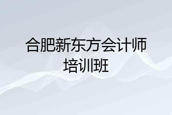 合肥新东方会计师培训班