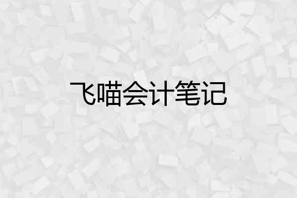 飞喵会计笔记