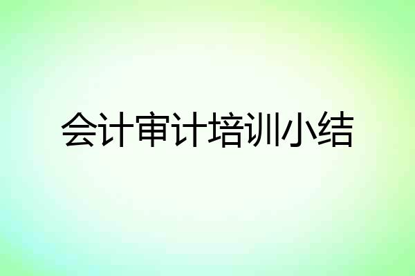 会计审计培训小结