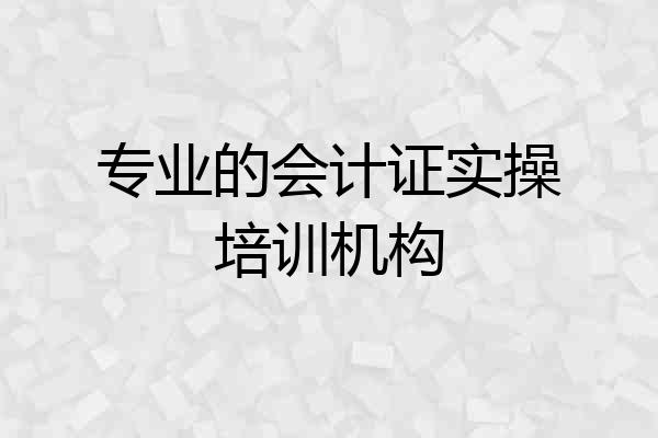 专业的会计证实操培训机构
