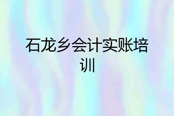 石龙乡会计实账培训