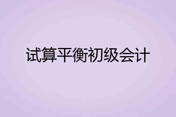 试算平衡初级会计