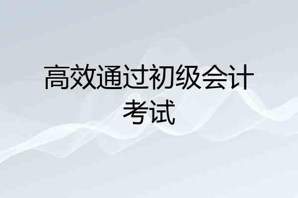 高效通过初级会计考试