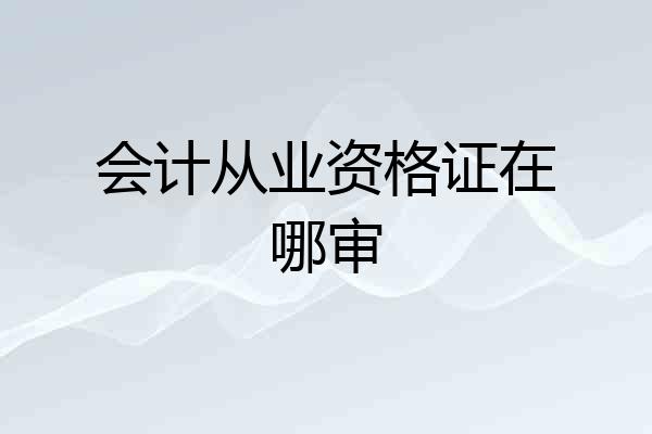 会计从业资格证在哪审