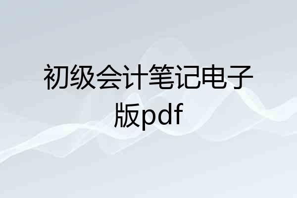 初级会计笔记电子版pdf