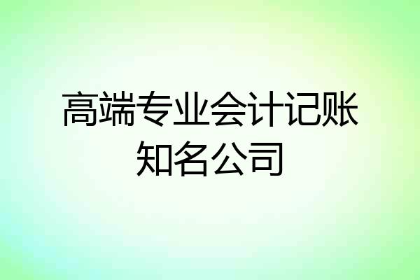 高端专业会计记账知名公司